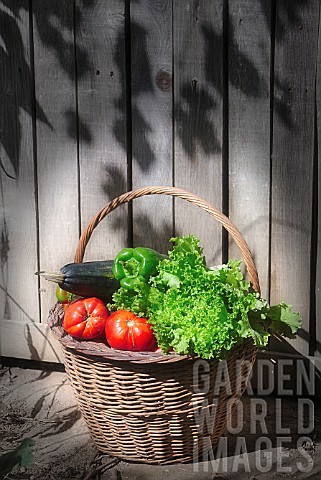 Basket_of_mixed_vegetables_tomatoes_peppers_lettuce_zucchini_potatoes