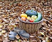 Basket of various autumn vegetables: pumpkin, zucchini, apples, walnuts, chestnuts