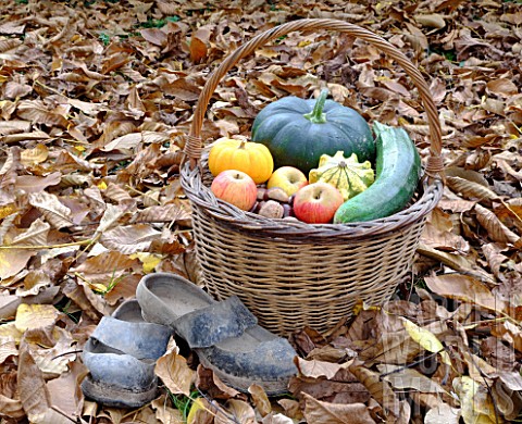 Basket_of_various_autumn_vegetables_pumpkin_zucchini_apples_walnuts_chestnuts