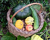 Basket of various autumn vegetables: pumpkin, zucchini, apples, walnuts, chestnuts