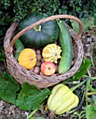 Basket of various autumn vegetables: pumpkin, zucchini, apples, walnuts, chestnuts