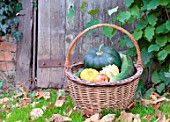 Basket of various autumn vegetables: pumpkin, zucchini, apples