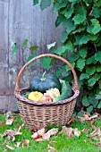 Basket of various autumn vegetables: pumpkin, zucchini, apples
