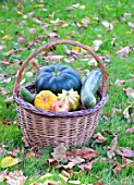 Basket of various autumn vegetables: pumpkin, zucchini, apples