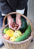 Woman holding chesnuts, in basket of various autumn vegetables: pumpkin, zucchini, apples, walnuts