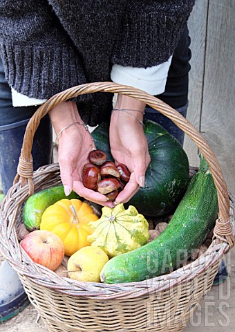 Woman_holding_chesnuts_in_basket_of_various_autumn_vegetables_pumpkin_zucchini_apples_walnuts