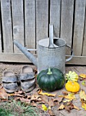 Zinc watering can, squash and shoes