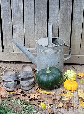 Zinc_watering_can_squash_and_shoes