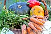 Basket of various autumn vegetables: pumpkin, zucchini, peppers, carrots.