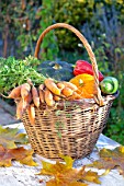 Basket of various autumn vegetables: pumpkin, zucchini, peppers, carrots.