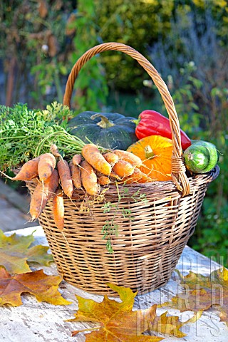 Basket_of_various_autumn_vegetables_pumpkin_zucchini_peppers_carrots