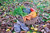 Basket of various autumn vegetables: pumpkin, zucchini, peppers, carrots, pairs of shoes.