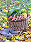 Basket of various autumn vegetables: pumpkin, zucchini, peppers, carrots, pairs of shoes.