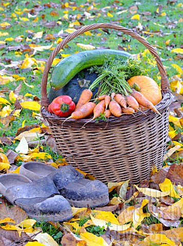 Basket_of_various_autumn_vegetables_pumpkin_zucchini_peppers_carrots_pairs_of_shoes