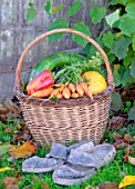 Basket of various autumn vegetables: pumpkin, zucchini, peppers, carrots, pairs of shoes.