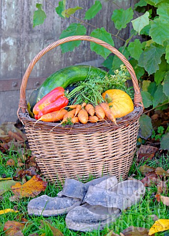 Basket_of_various_autumn_vegetables_pumpkin_zucchini_peppers_carrots_pairs_of_shoes