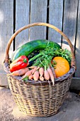 Basket of various autumn vegetables: pumpkin, zucchini, peppers, carrots.