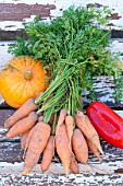 Autumn vegetable harvest; pumpkin, peppers, carrots.