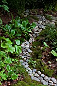 River pebbles lined with Darmera peltata, Luzula sylvatica and Bergenia