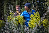 Young couple with Euphorbia flowers in a garden