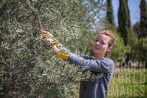 Young_woman_with_an_olive_tree_in_a_garden