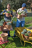 Young couple with aromatic plants in a garden