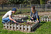 Young couple planting salads in a kitchen garden