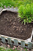 Planting Dahlias and various bulbs in a garden in Provence - France