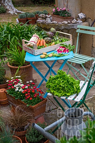 Pring_vegetables_on_a_garden_terrace_carrots__aspargus__radish__artichokes__salad__peas__snow_peas__