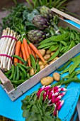 Spring vegetables on a garden terrace: carrots  aspargus  radish  artichokes  salad  peas  snow peas - France
