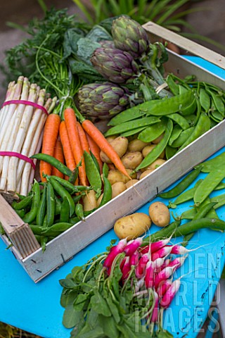 Spring_vegetables_on_a_garden_terrace_carrots__aspargus__radish__artichokes__salad__peas__snow_peas_