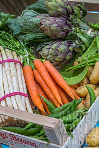 Spring_vegetables_on_a_garden_terrace_carrots__aspargus__radish__artichokes__salad__peas__snow_peas_