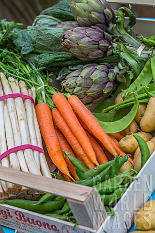 Spring_vegetables_on_a_garden_terrace_carrots__aspargus__radish__artichokes__salad__peas__snow_peas_