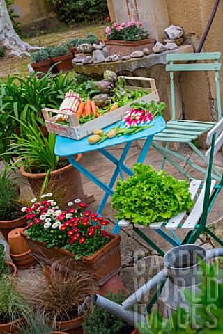 Vegetables_on_a_garden_terrace_carrots__asparagus__radish__artichokes__salad__peas__snow_peas__Franc