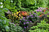 Rhododendrons in bloom, Garden for Peace in Bitche , Lorraine, France