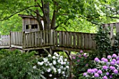 Cabin and Rhododendron flowers, Garden for Peace in Bitche , Lorraine, France