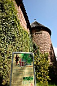Medieval garden of Haut-Koenigsbourgs castle above Orschwiller , Alsace, France