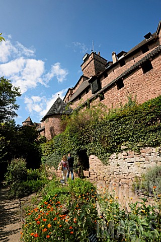 Medieval_garden_of_HautKoenigsbourgs_castle_above_Orschwiller__Alsace_France