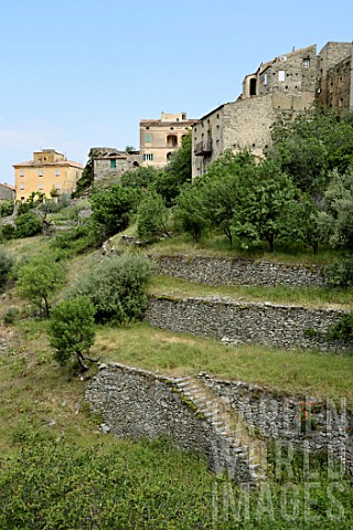 Terraced_gardens_in_an_old_village_Lama_Corsica_France
