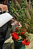 Making of a funnel with a plastic bottle