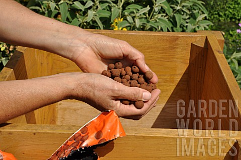 Preparation_and_planting_in_a_wooden_container