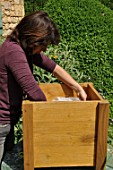 Preparation and planting in a wooden container