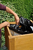 Preparation and planting in a wooden container