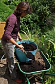 Preparation and planting in a wooden container