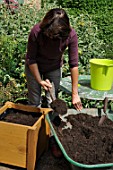 Preparation and planting in a wooden container