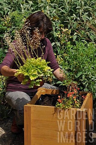 Preparation_and_planting_in_a_wooden_container