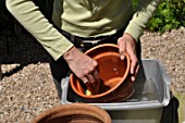 Cleaning of pots in a garden