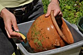 Cleaning of pots in a garden