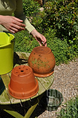 Cleaning_of_pots_in_a_garden