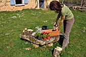 Preparation and planting of a window flower box